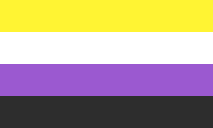 The non-binary flag.